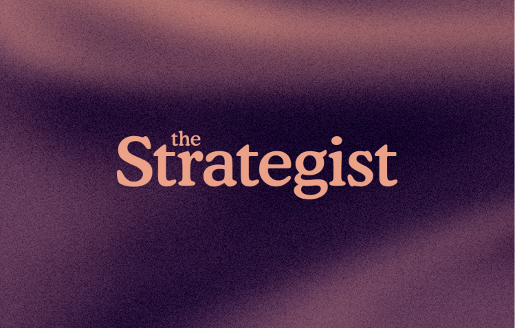 Indonesian Bags, Fish-Bone Pliers, and Other Recent Strategist Finds